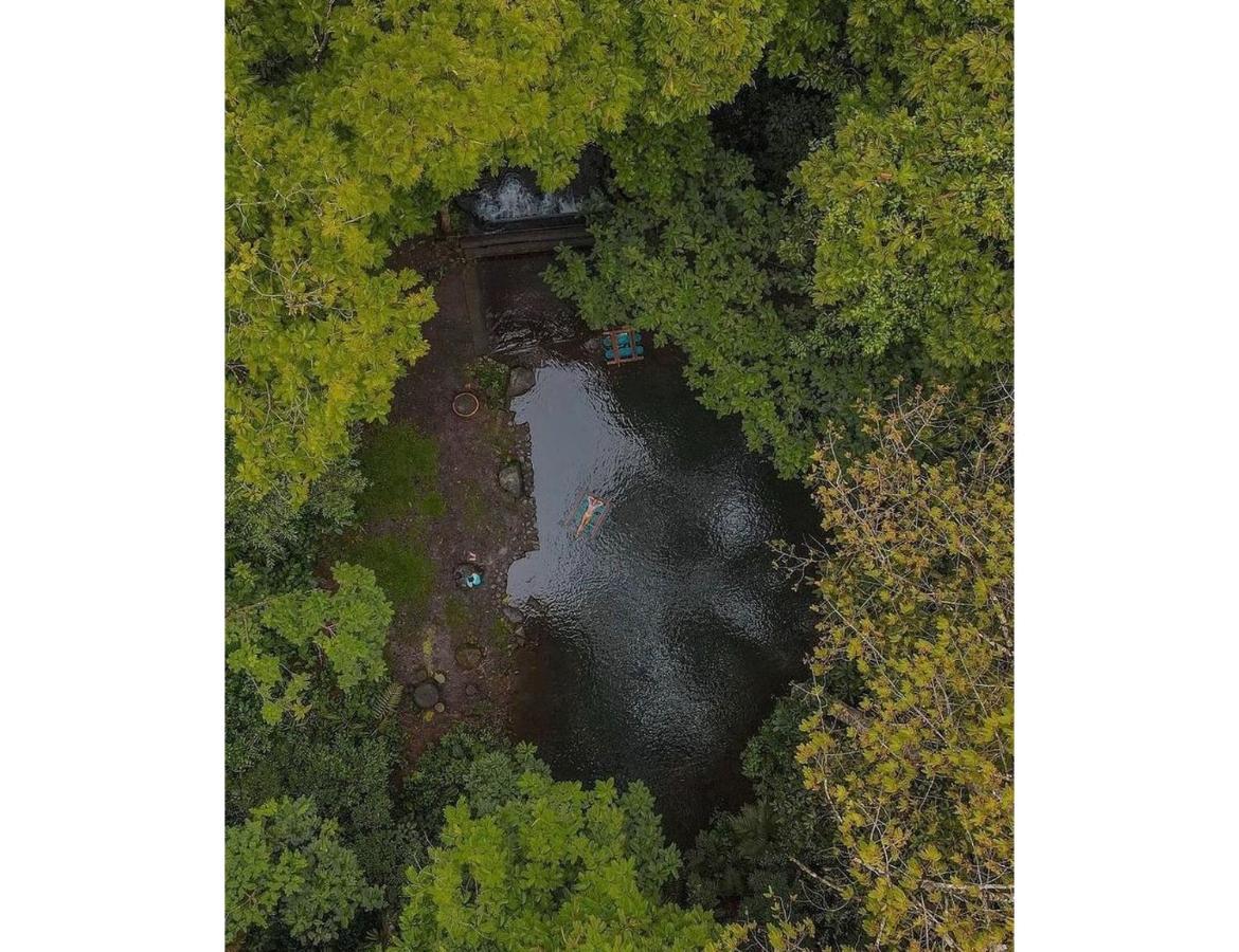 Hotel Del Bosque Río Cuarto Екстериор снимка