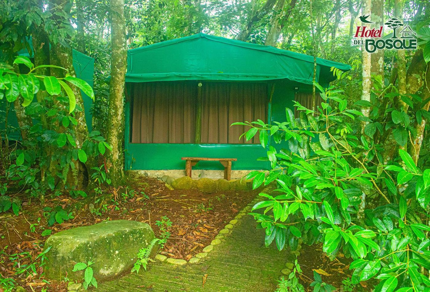 Hotel Del Bosque Río Cuarto Екстериор снимка