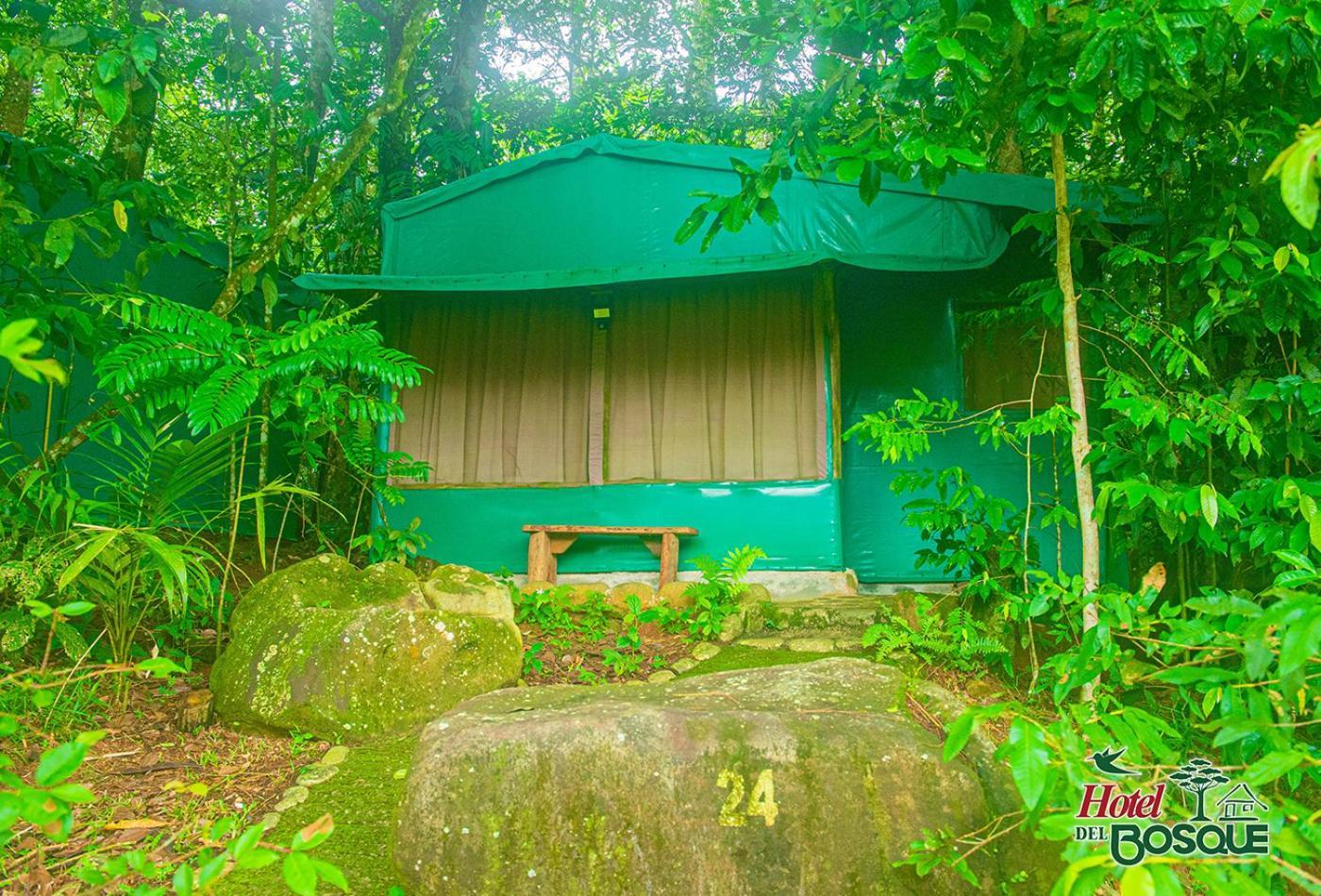 Hotel Del Bosque Río Cuarto Екстериор снимка