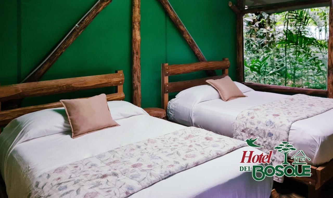 Hotel Del Bosque Río Cuarto Екстериор снимка